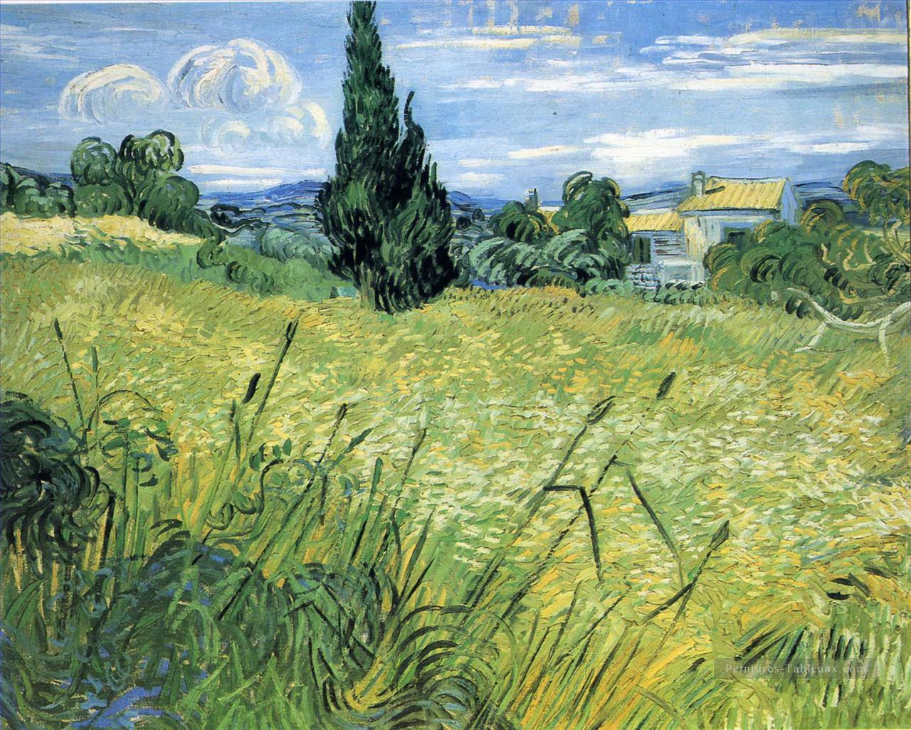Champ de blé vert avec Cypress Vincent van Gogh Peintures à l'huile